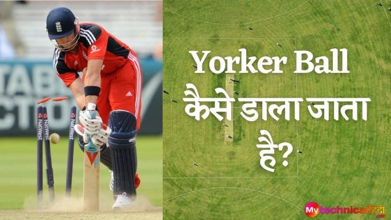 Yorker Ball कैसे डाला जाता है?